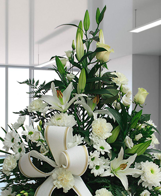 Centro Funerario Especial Blanco